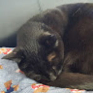 Meet your Posher, Kimberlee